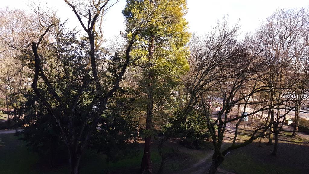 Apartamento Sweet Dijon-arquebuse *